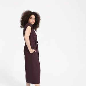 Everlane GoWeave Japanese Wrap Dress